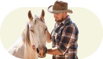 all animals
